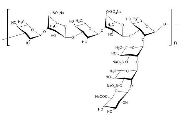 Chemical structure of rhamnan sulfate