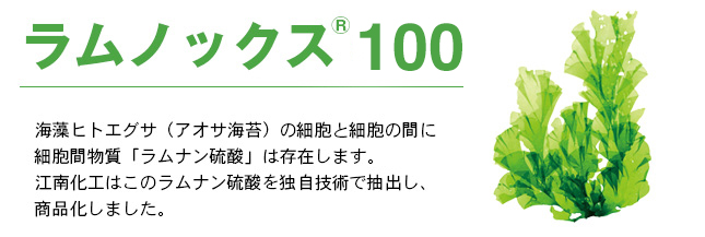 ラムノックス100/海藻ヒトエグサ(アオサ海苔)の細胞と細胞の間に細胞間物質「ラムナン硫酸」は存在します。江南化工はこのラムナン硫酸を独自技術で抽出し、商品化しました。